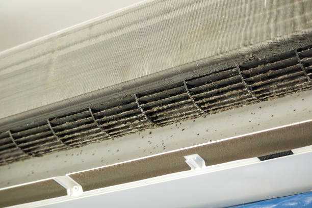 Best Affordable Duct Cleaning Services  in Ocklawaha, FL